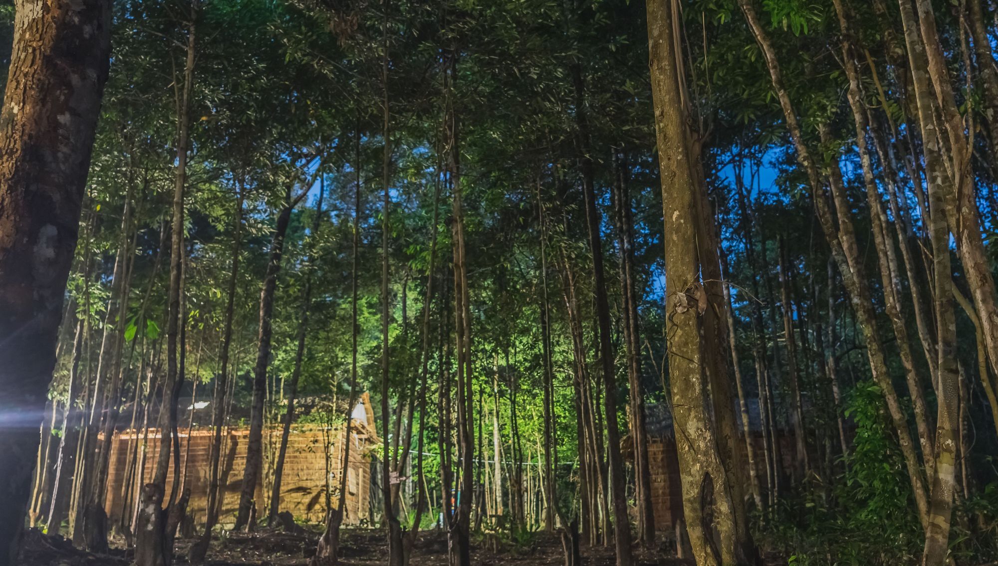 Driftwood Hostel And Bungalows เกาะรงสำลน ภายนอก รูปภาพ