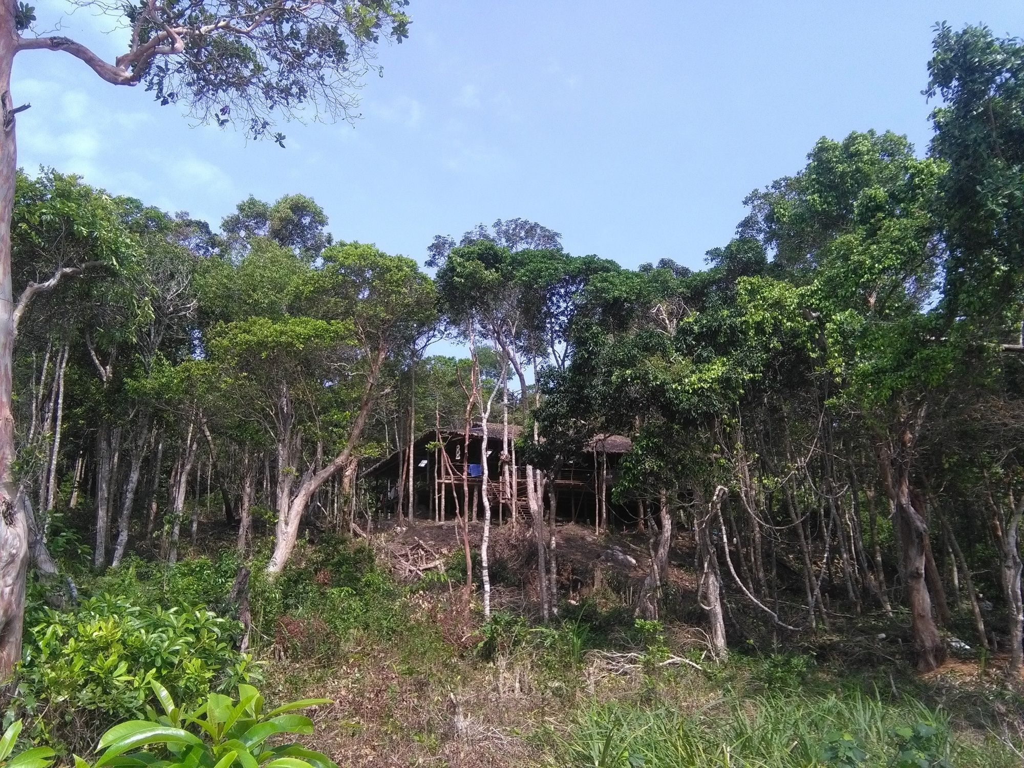 Driftwood Hostel And Bungalows เกาะรงสำลน ภายนอก รูปภาพ